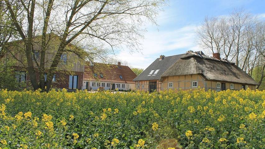 Ferienhaus für 39 Personen, mit Garten und Sauna, mit Haustier in Pommerby