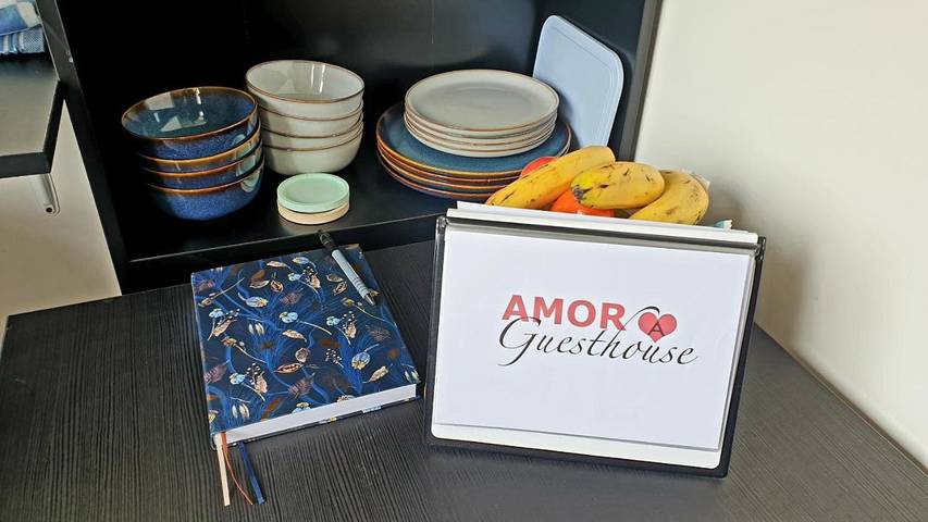 Chambre d’hôte pour 2 personnes, avec balcon à Amsterdam - 3