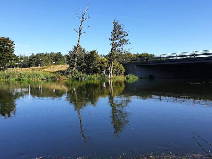 Ferienhaus für 6 Personen, mit Garten und Pool sowie Terrasse, kinderfreundlich in Ostjütland - 3