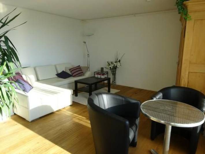 Ganze Wohnung, Moderne Ferienwohnung in Hombrechtikon, Zürich Voralpen