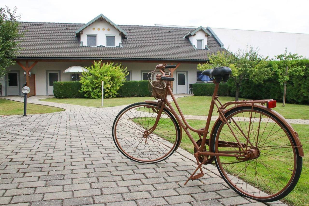 Double Room in Apetlon, Neusiedlersee-Hügelland
