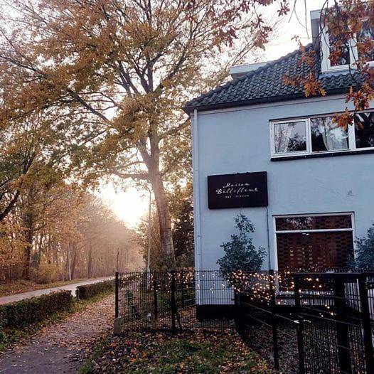 Maison Bellefleur B&B - Pension in Renesse, Côte de Zeeland