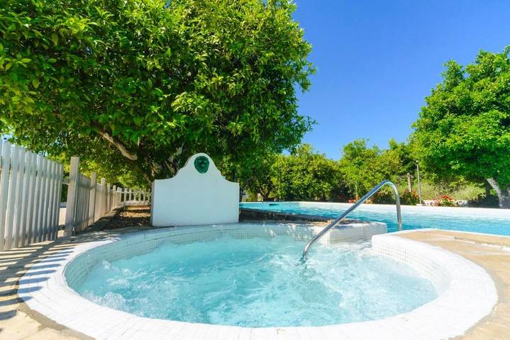 Casa rural para 13 personas, con Jacuzzi y Terraza además de Jardín y Piscina en Fuente Palmera - 3