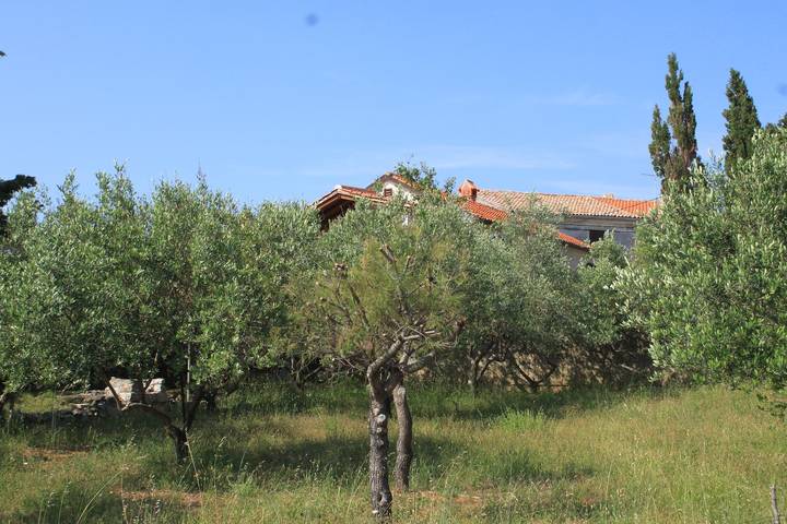 Ferienhaus für 6 Personen, mit Balkon/Terrasse auf Cres - 3
