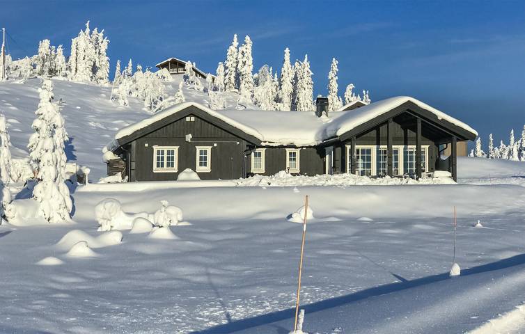 Ferienhaus für 10 Personen, mit Garten und Terrasse, mit Haustier - 1