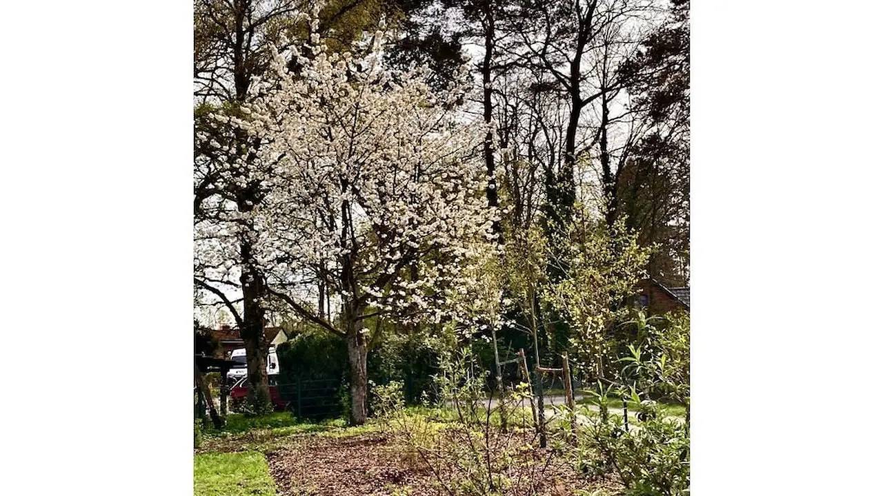 Ganze Ferienwohnung, Ferienwohnung für 2 Personen (66 m²) in Buchholz In Der Nordheide in Buchholz in der Nordheide, Nordheide