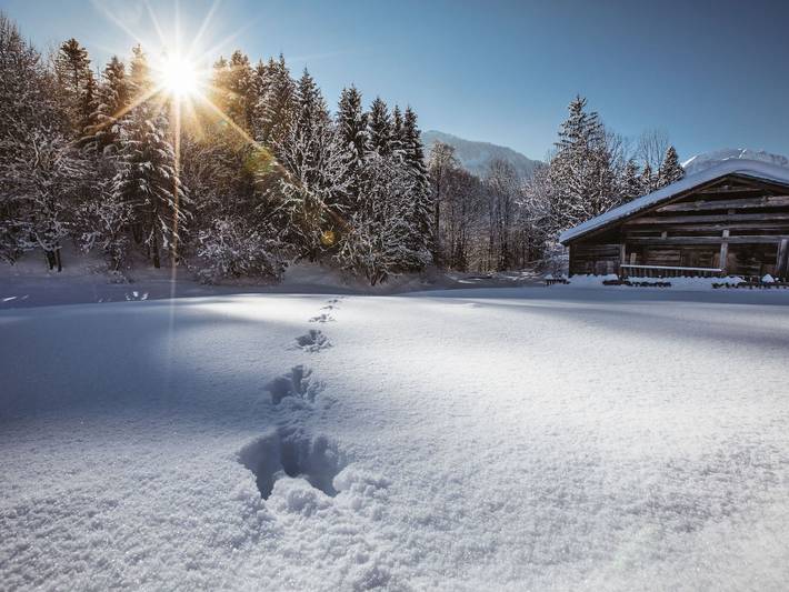 Hotel für 4 Personen, mit Balkon und Garten sowie Sauna in Au - 3