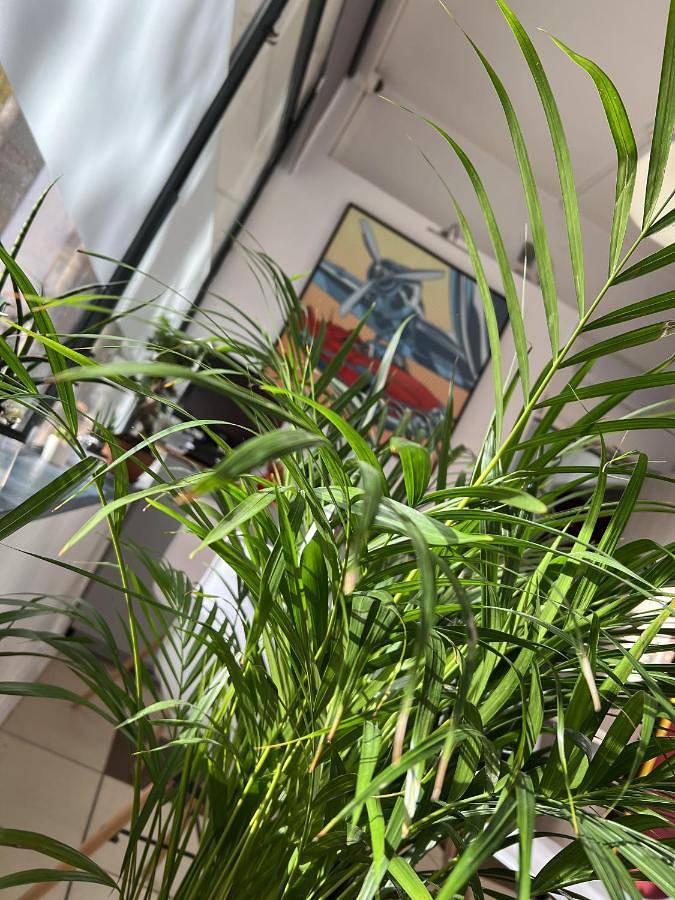 Hôtel pour 2 personnes, animaux acceptés