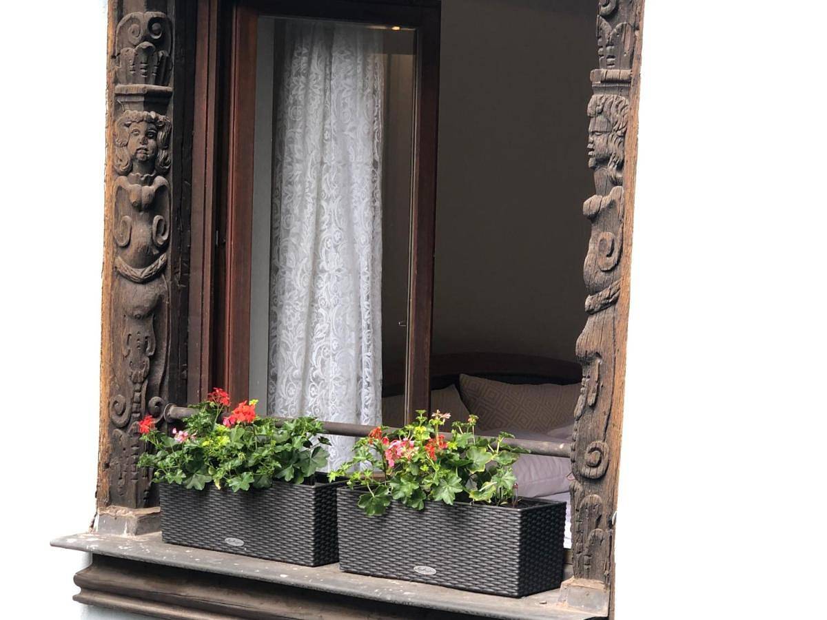 Entire apartment, One-Bedroom Apartment in Strasbourg, Strasbourg region