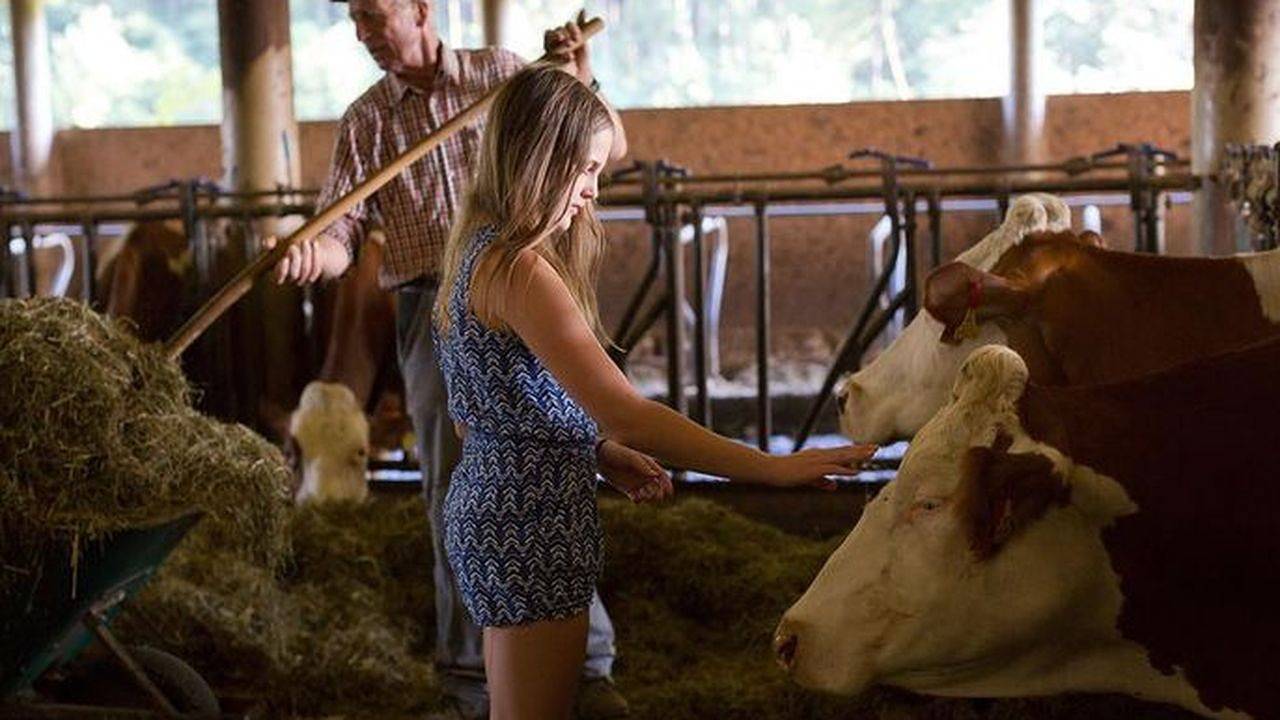 Apartamento vacacional entero, Ferienwohnung für 6 Personen (82 m²) in Ossiach in Ossiach, Oberkärnten