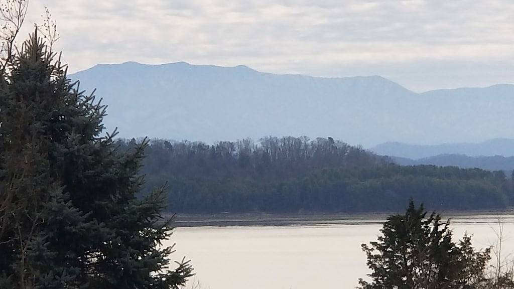 Ganze Wohnung, Abgeschieden Lofty Escape in Douglas Lake