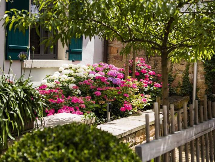Ferienwohnung für 3 Personen, mit Garten und Terrasse in Neustadt an der Weinstraße - 4