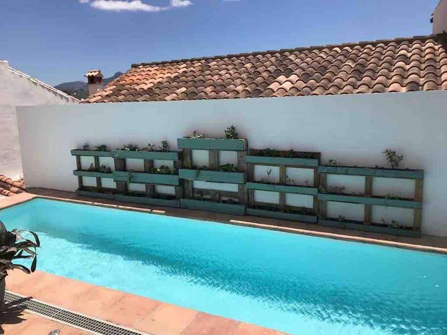 Nido de los Buitres in Algodonales, Pueblos Blancos
