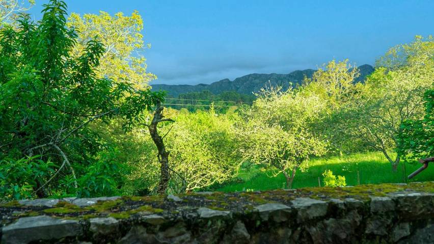 Casa rural para 4 personas, con Balcón y Terraza además de Jardín y Vistas en Niembro - 4