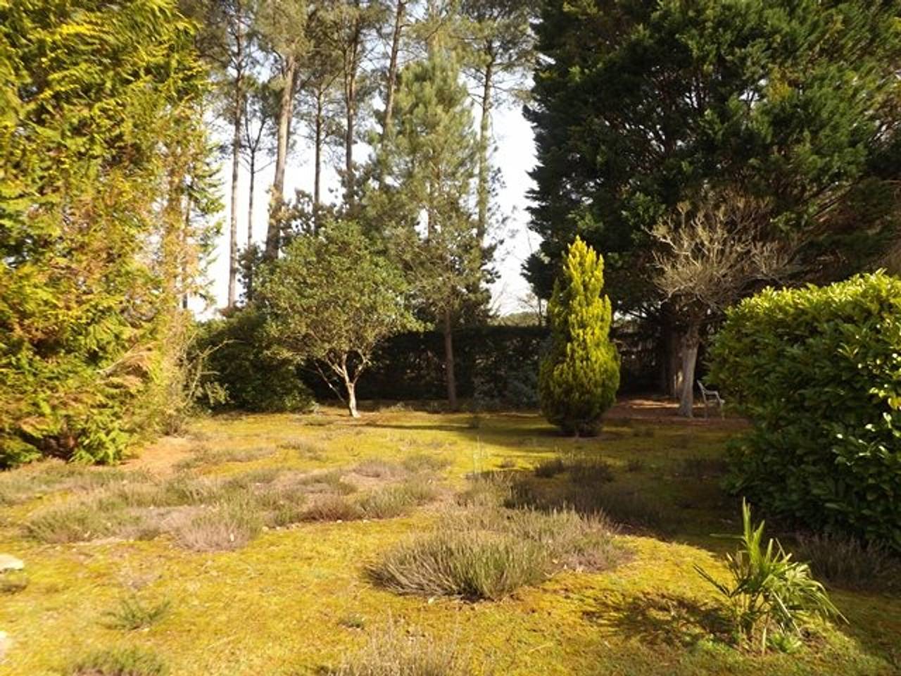 Einladende Villa, Haustiere erlaubt - 6 Pers. in Vielle-Saint-Girons, Côte d’Argent