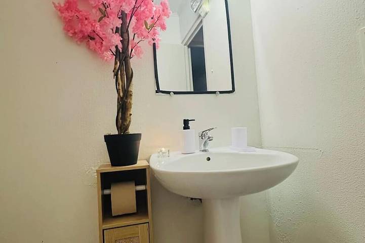 Gîte pour 6 personnes, animaux acceptés à Villeneuve-sur-Lot - 3