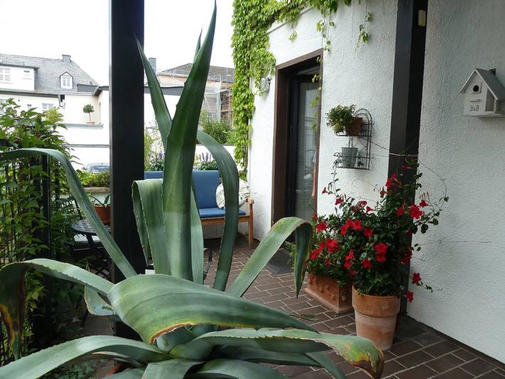 Studio für 2 Personen, mit Garten und Balkon in Arnsberg - 4