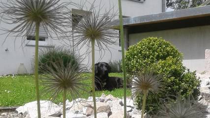 Ferienwohnung für 2 Personen in Dreiländereck