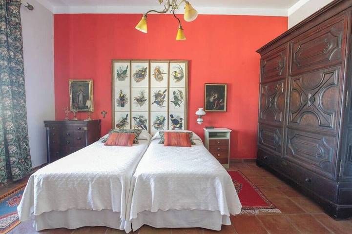 Casablanca: Rest among olive trees in Pilas, Sevilla Province