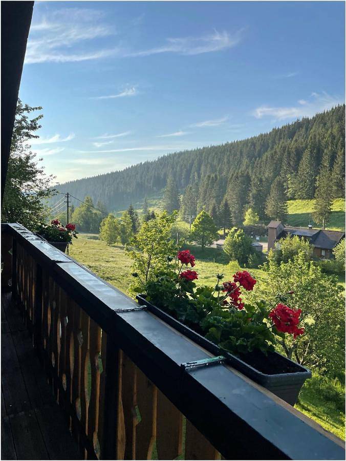 Apartment in Altglashütten (Feldberg), Feldberg