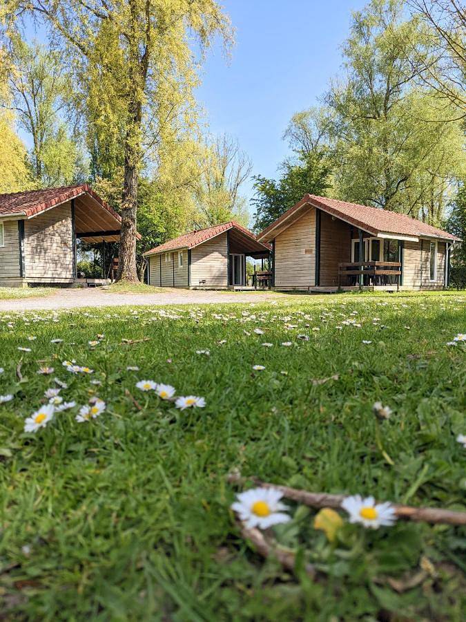 Camping Du Port De Plaisance in Péronne (Somme), Région de Péronne