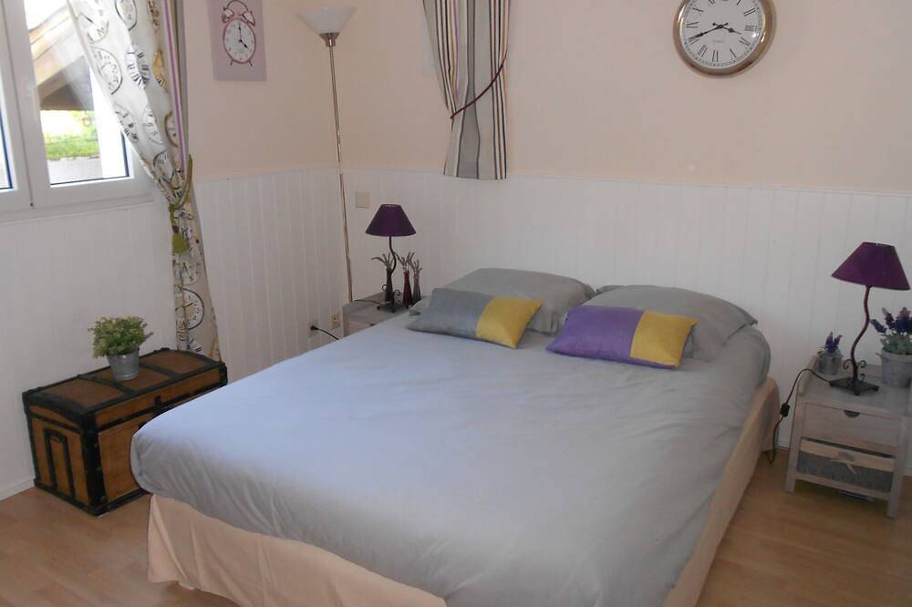 Large air-conditioned villa in mature garden, swimming pool in Carcassonne, Carcassonne region