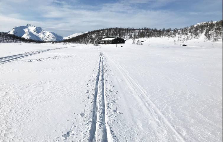 Ferienhaus für 6 Personen, mit Garten, mit Haustier in Nord-Norwegen - 3