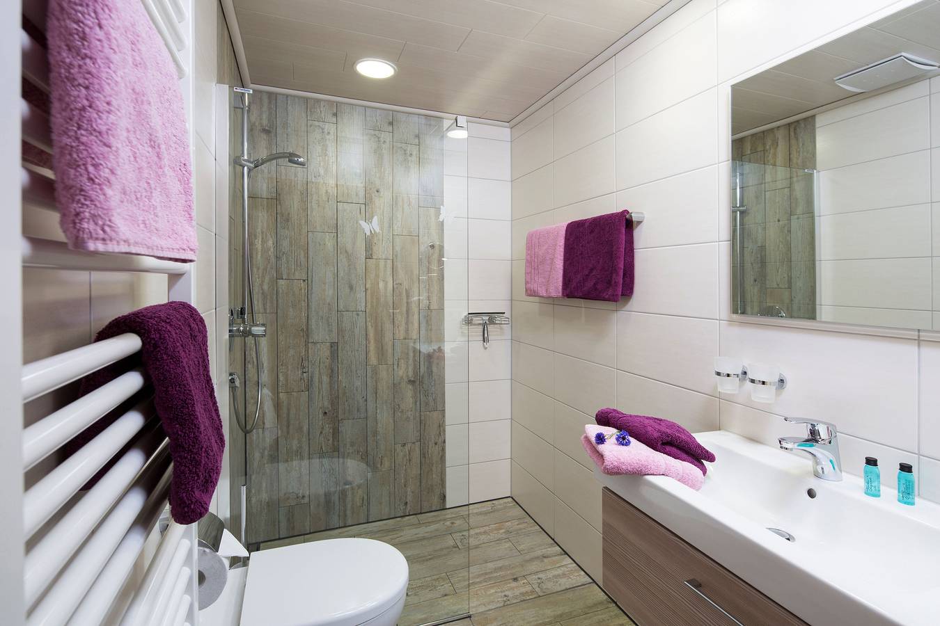 Apartamento entero, Apartamento de vacaciones tipo a 36 in Tonbach, Baiersbronn