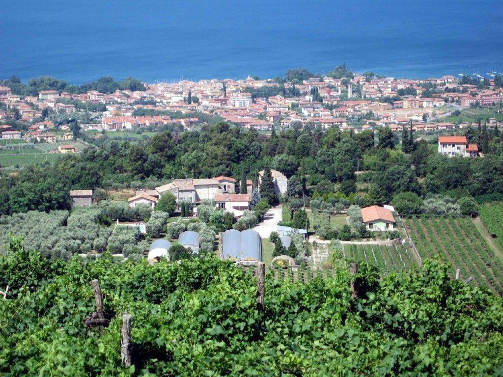 Ganzes Studio, Agriturismo la Casetta in Affi, Gardasee-Berge