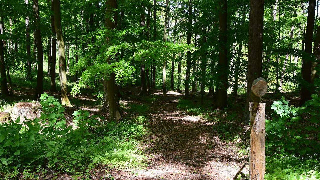 Ganze Ferienwohnung, Ferienwohnung für 2 Personen (37 m²) in Balve in Balve, Sorpesee