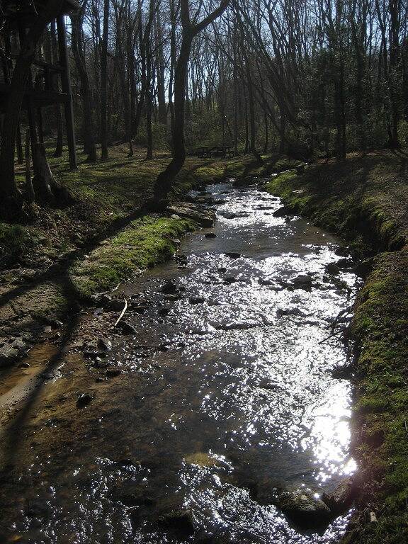 Log Cabin for 10 Guests in Chattahoochee National Forest, Fannin County