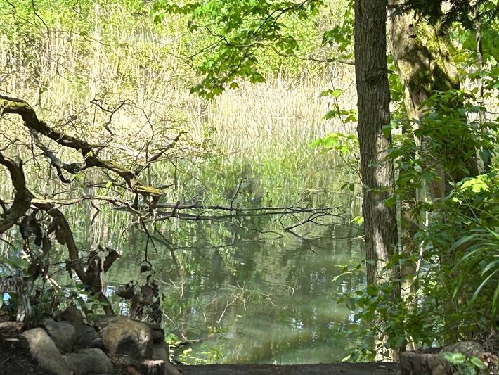 Ferienhaus für 4 Personen, mit Garten und Seeblick in Sachsen-Anhalt - 3