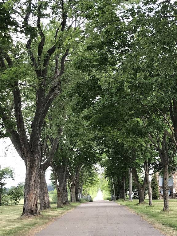 Ganze Wohnung, La Campagne im Zentrum von Baie St Paulunique in Le Massif