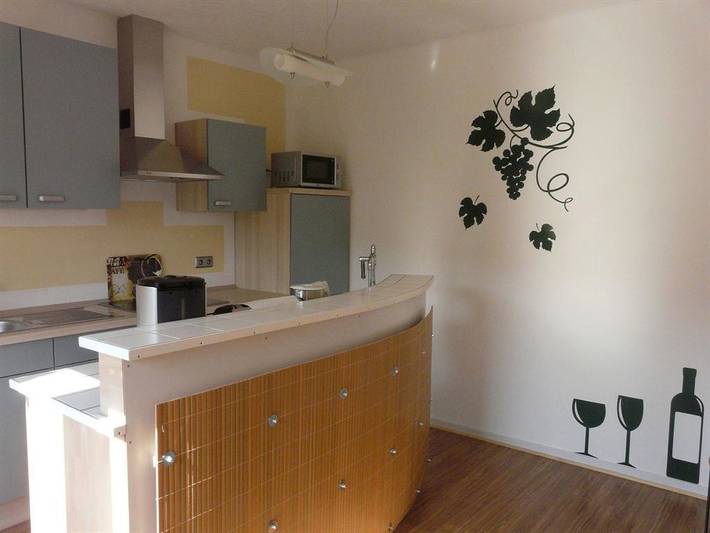 Gîte pour 2 personnes, avec balcon et jardin à Sarrebourg (Allemagne) - 4