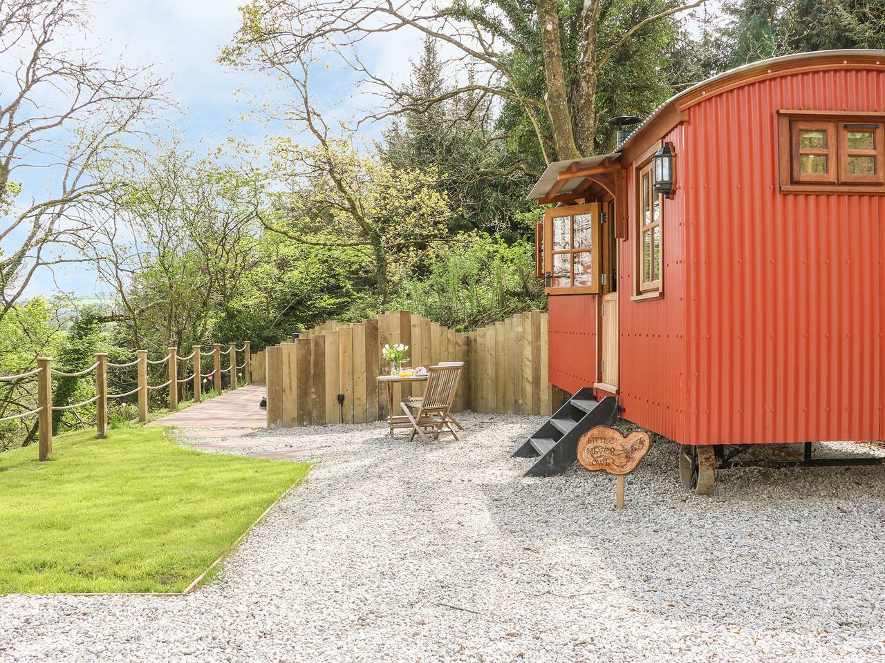 Little Silver Owl in Devon