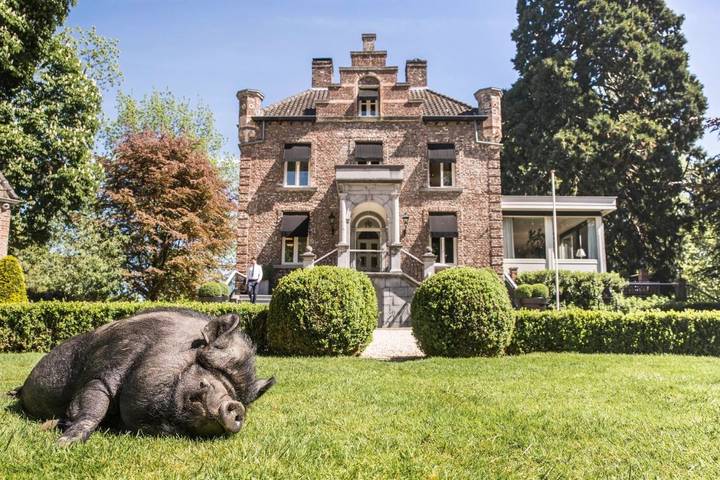 Hotel voor 2 personen, with Terras and Tuin as well as Uitzicht in Roermond