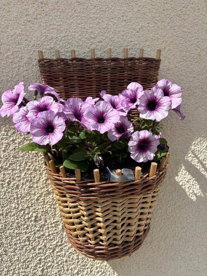 Location de vacances pour 4 personnes, avec jardin et vue, animaux acceptés à Thenon - 3