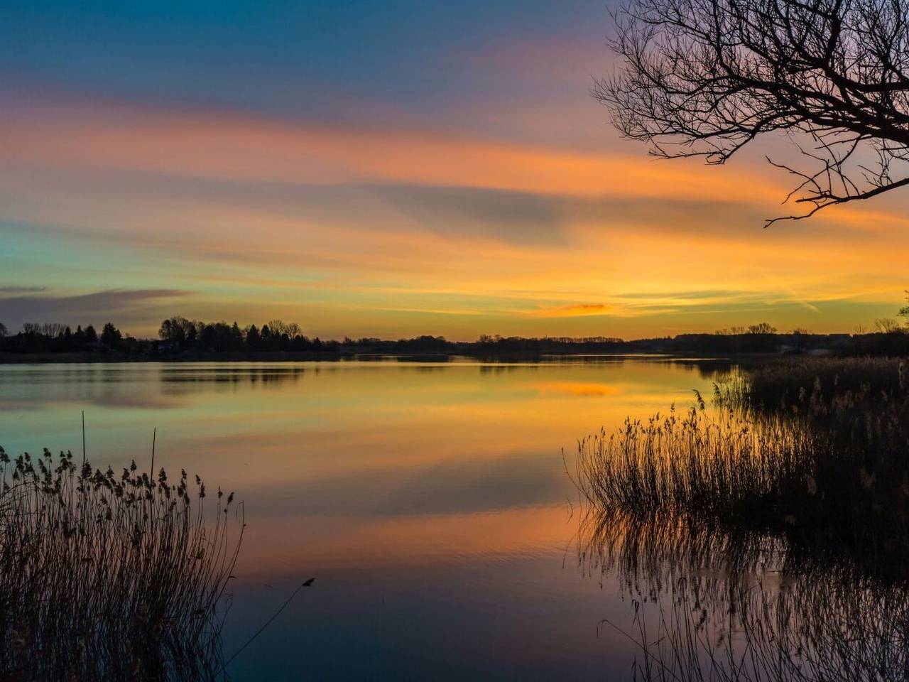 Ganze Wohnung, Seeadler in Wanzka, Blankensee (Mecklenburg)