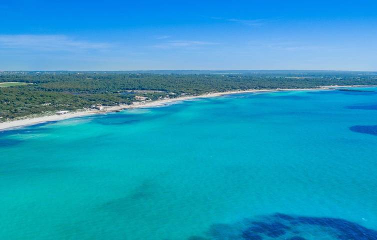 Villa für 9 Personen, mit Terrasse in Es Trenc - 4