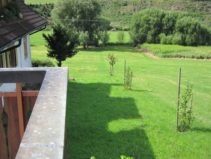 Ferienwohnung mit 1 Schlafzimmer in Seelbach, Mittlerer Schwarzwald