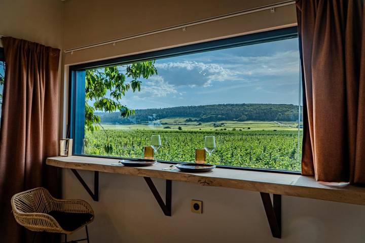 Chambre d’hôte pour 2 personnes, avec Jacuzzi et Terrasse ainsi que Jardin et Piscine