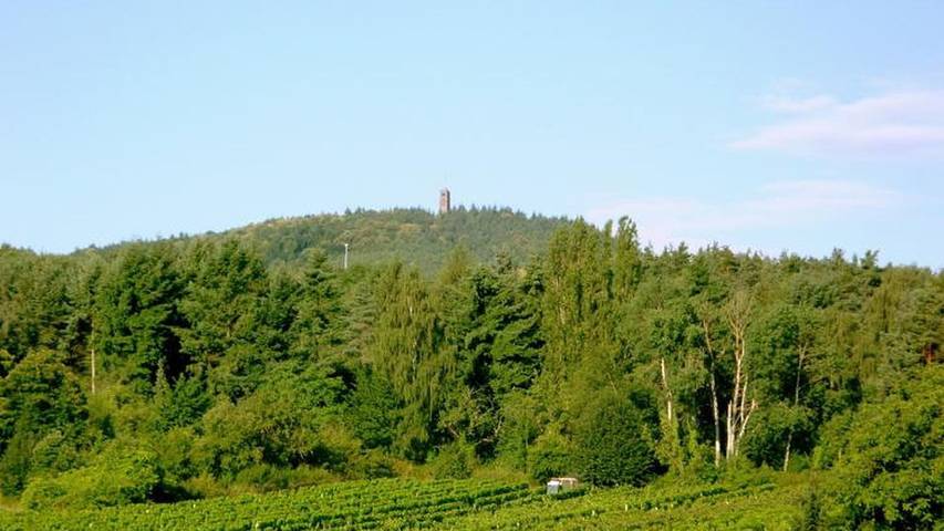 Ferienwohnung für 6 Personen, mit Balkon in Deutsche Weinstraße - 4