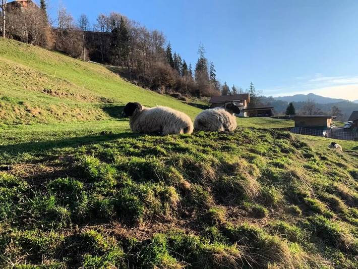 Villa für 4 Personen, mit Garten in der Schweiz - 2