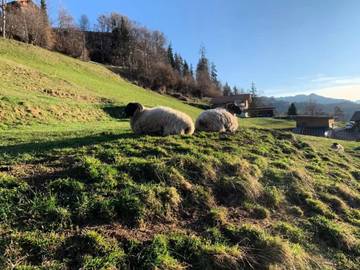 Villa pour 4 Personnes dans Beatenberg, Alpes occidentales, Photo 1