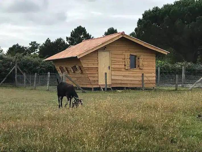 Camping para 4 personas, con jardín - 1