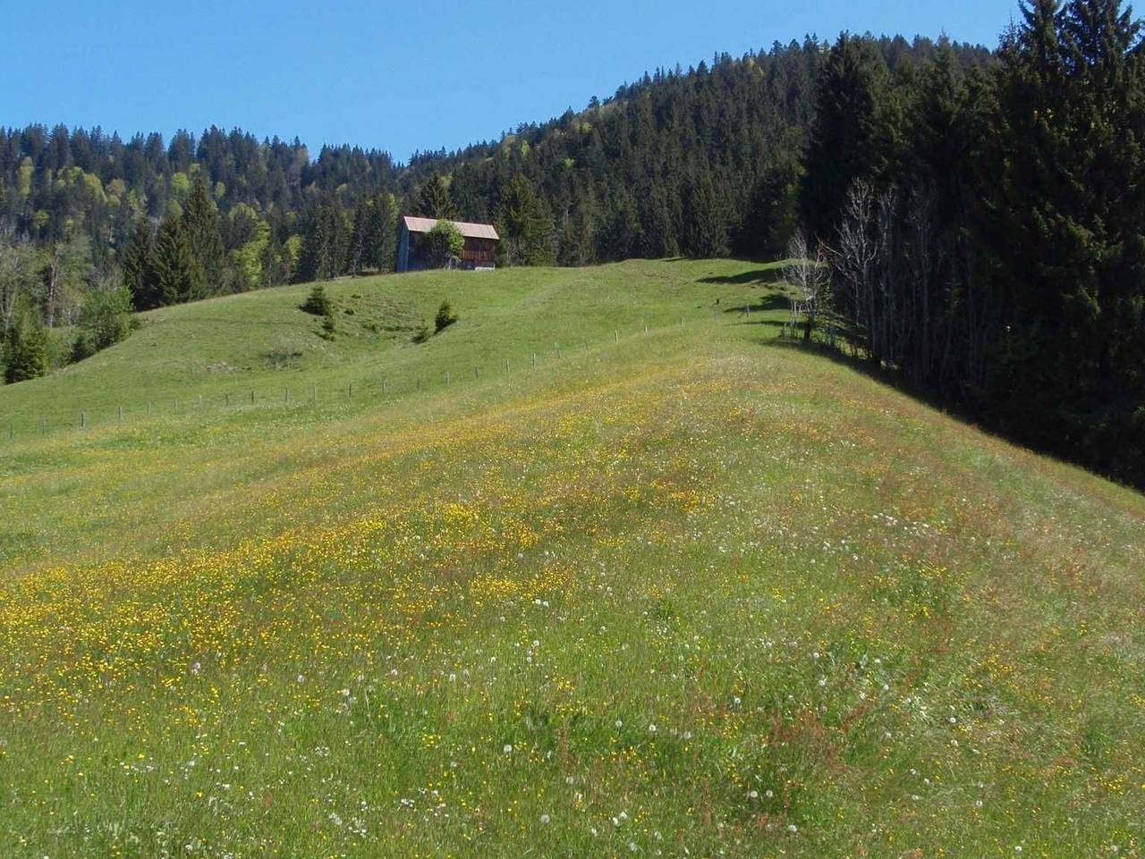 Ganze Ferienwohnung, Haus Sonnenblick - Ferienwohnung Berg in Sibratsgfäll, Bregenzerwald