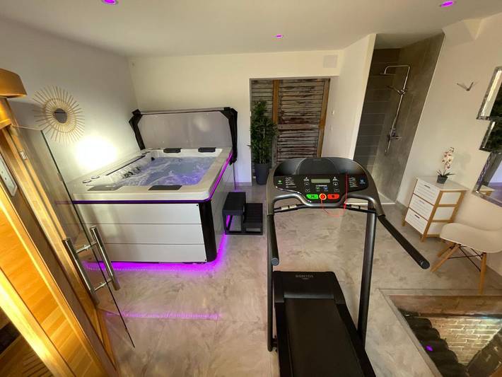 Maison d’hôte pour 10 personnes, avec jacuzzi ainsi que sauna et terrasse dans Marne - 4