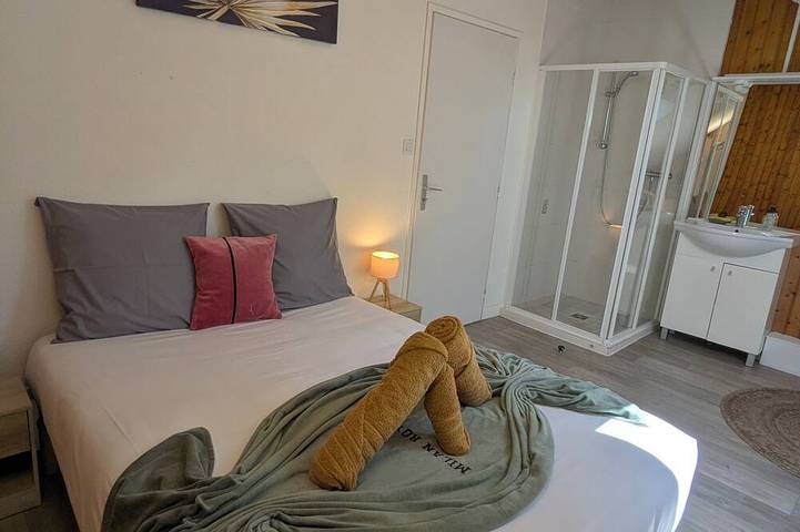 Gîte pour 10 personnes, avec jardin, animaux acceptés dans Lac de Saint-Point - 4