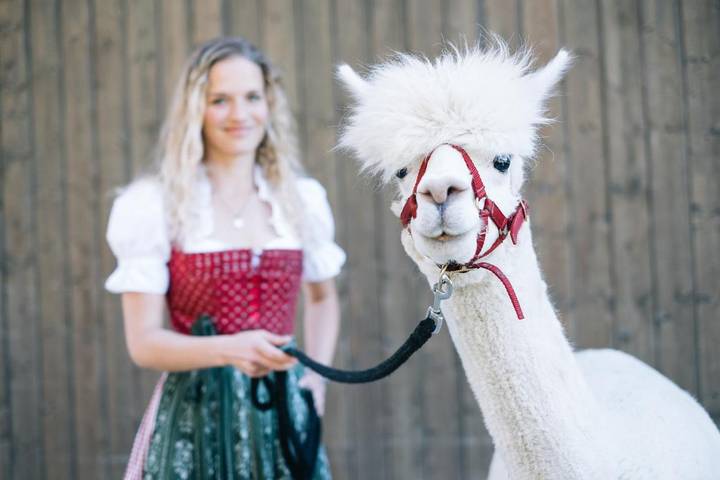 Location de vacances pour 2 personnes, avec sauna ainsi que vue et jardin, animaux acceptés à Sankt Wolfgang im Salzkammergut - 2