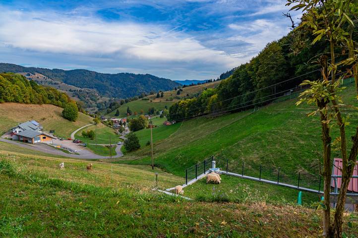 Ganze Ferienwohnung, Schwarzwaldhaus Eckhof in Wieden, Südschwarzwald